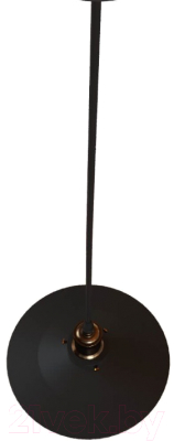 Потолочный светильник Loftit LOFT1102