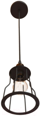 Потолочный светильник Loftit LOFT1114