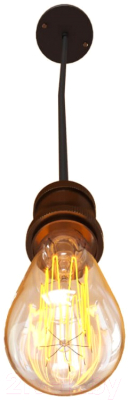 Потолочный светильник Loftit LOFT1153