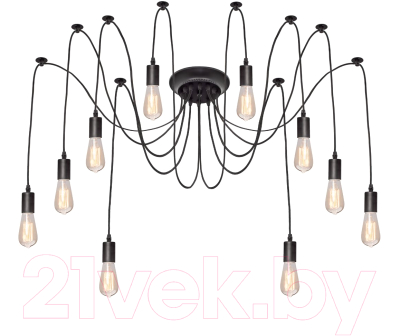 Люстра Loftit LOFT1162/10 - фото