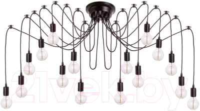 Люстра Loftit LOFT1162/16 - фото
