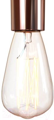 Потолочный светильник Loftit LOFT1510C