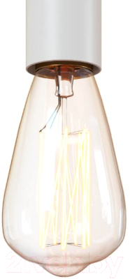 Потолочный светильник Loftit LOFT1510WH