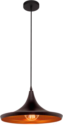 Потолочный светильник Loftit LOFT1843/B - фото