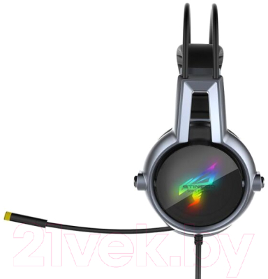 Наушники-гарнитура Somic E95X-20th