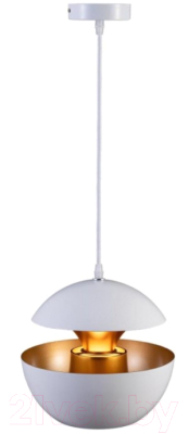 Потолочный светильник Loftit LOFT2213-A - фото