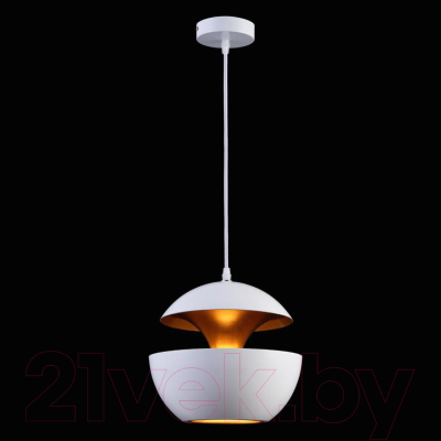 Потолочный светильник Loftit LOFT2213-A