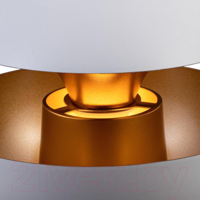 Потолочный светильник Loftit LOFT2213-A