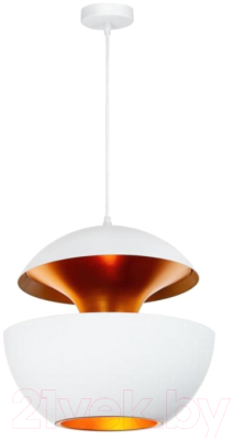 Потолочный светильник Loftit LOFT2213-B - фото