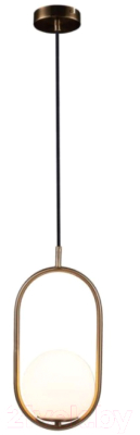 Потолочный светильник Loftit LOFT2595-A - фото