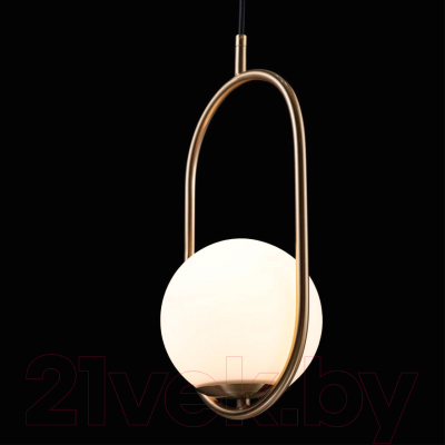 Потолочный светильник Loftit LOFT2595-A