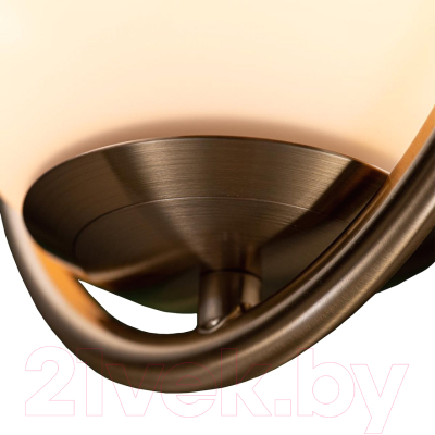 Потолочный светильник Loftit LOFT2595-A