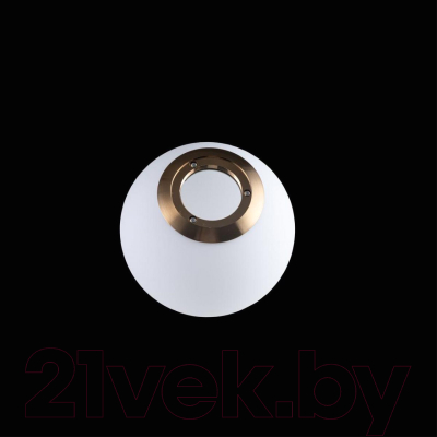 Потолочный светильник Loftit LOFT2595-A