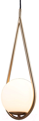 Потолочный светильник Loftit LOFT2599-A