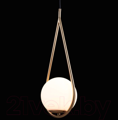 Потолочный светильник Loftit LOFT2599-A