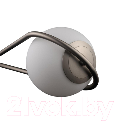 Потолочный светильник Loftit LOFT2599-B