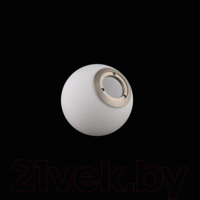 Потолочный светильник Loftit LOFT2599-B