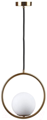 Потолочный светильник Loftit LOFT2600-A - фото