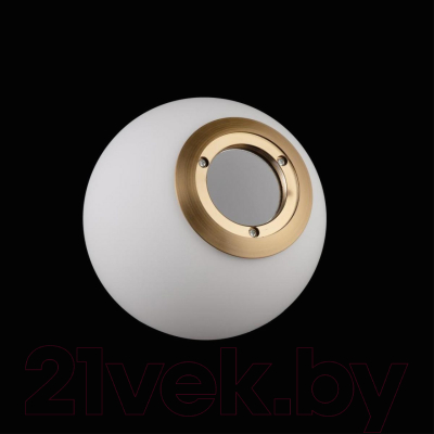 Потолочный светильник Loftit LOFT2600-A