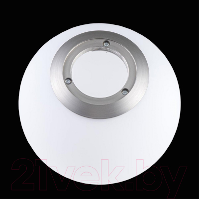 Потолочный светильник Loftit LOFT2600-B