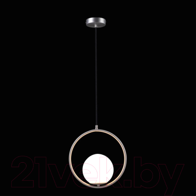 Потолочный светильник Loftit LOFT2600-B