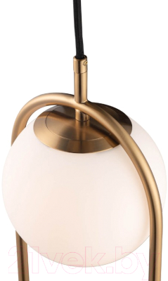 Потолочный светильник Loftit LOFT2601-A