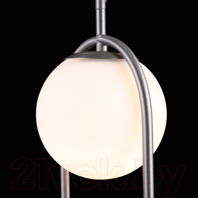 Потолочный светильник Loftit LOFT2601-B