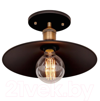 Потолочный светильник Loftit LOFT3101C - фото