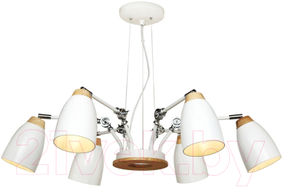 Люстра Loftit LOFT4402/6WH - фото