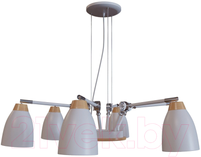 Люстра Loftit LOFT4402/6WH