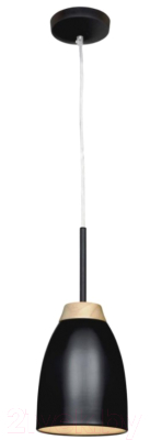 Потолочный светильник Loftit LOFT4402A-BL - фото