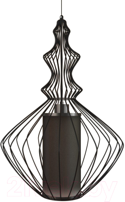 Потолочный светильник Loftit LOFT8906/A