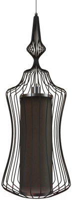 Потолочный светильник Loftit LOFT8906/C - фото