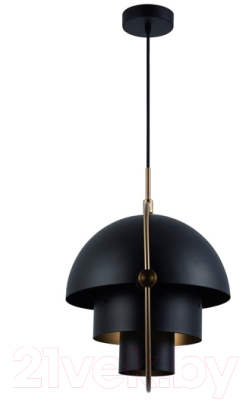 Потолочный светильник Loftit LOFT9915-BL