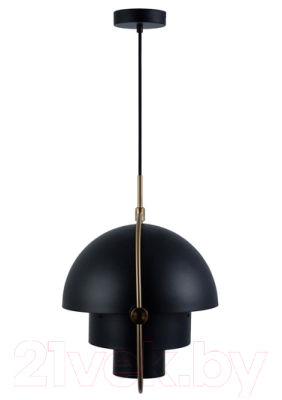 Потолочный светильник Loftit LOFT9915-BL