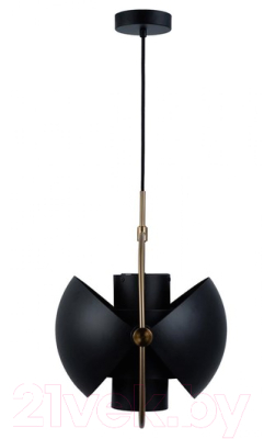 Потолочный светильник Loftit LOFT9915-BL