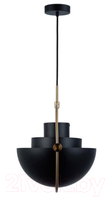 Потолочный светильник Loftit LOFT9915-BL