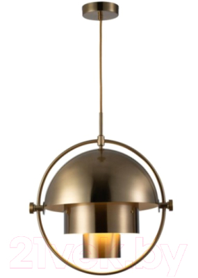 Потолочный светильник Loftit LOFT9915-C - фото