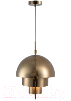 Потолочный светильник Loftit LOFT9915-C