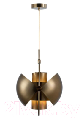 Потолочный светильник Loftit LOFT9915-C