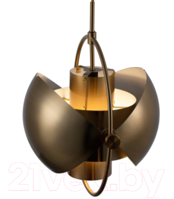 Потолочный светильник Loftit LOFT9915-C