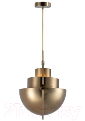 Потолочный светильник Loftit LOFT9915-C