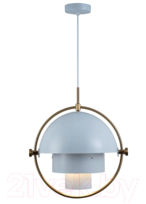 Потолочный светильник Loftit LOFT9915-WH - фото