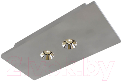 Комплект точечных светильников Loftit Architect OL1072-GH/2