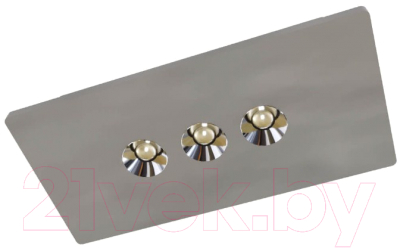 Комплект точечных светильников Loftit Architect OL1072-GH/3