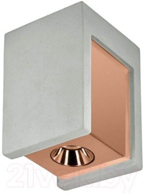 Точечный светильник Loftit Architect OL1073-GG