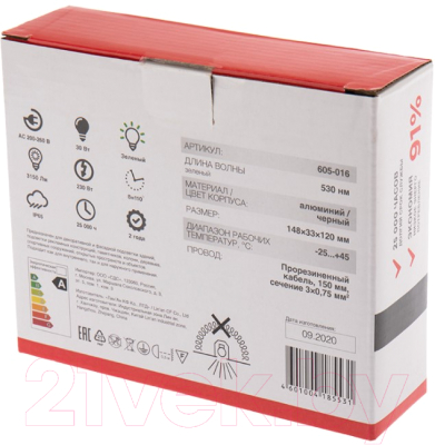 Прожектор Rexant 605-016