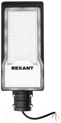 Светильник уличный Rexant ДКУ 01-100-5000К-ШС IP65 / 607-301 - фото