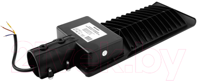 Светильник уличный Rexant ДКУ 01-100-5000К-ШС IP65 / 607-301