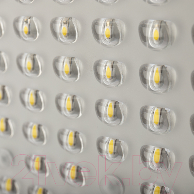 Светильник уличный Rexant ДКУ 01-100-5000К-ШС IP65 / 607-301